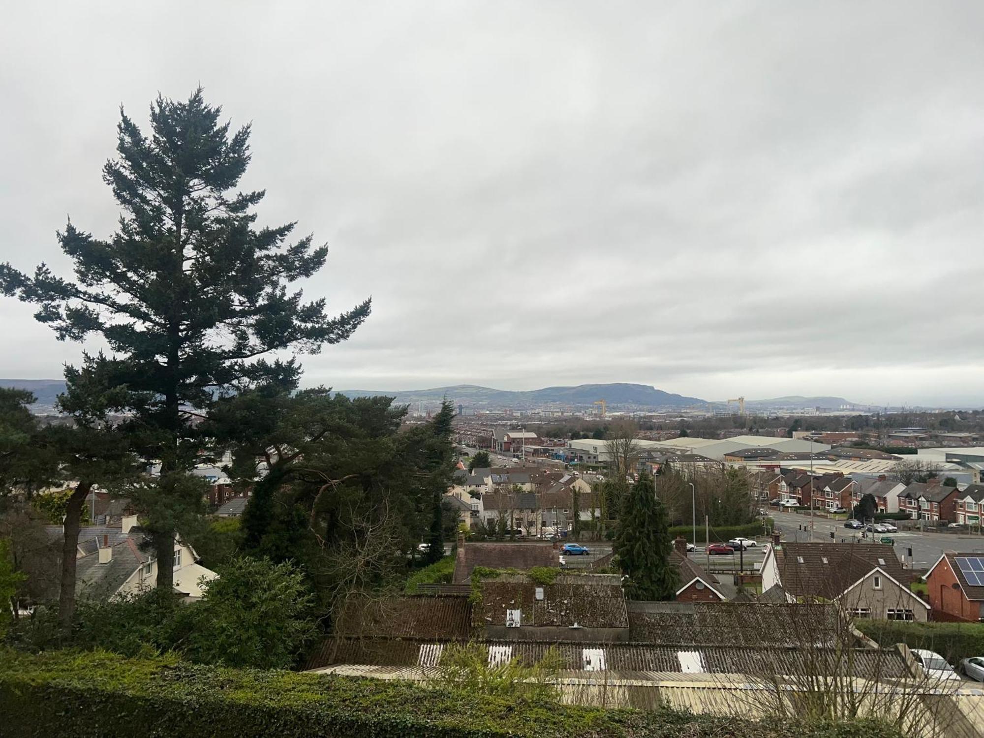 Castlereagh Beauty *